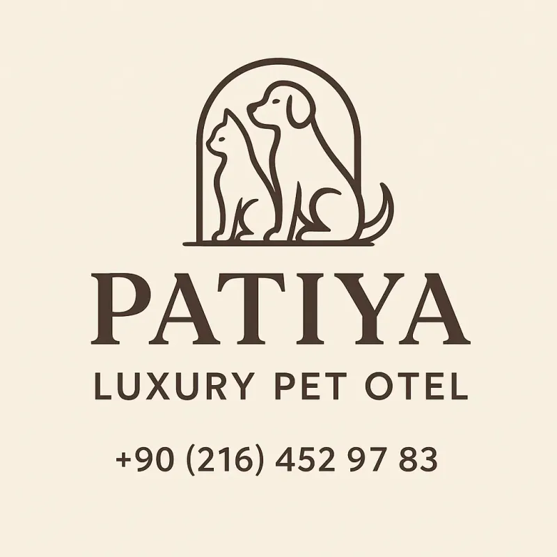 Patiya Luxury Pet Otel İstanbul evcil hayvan pet hotelleri Pawbooking