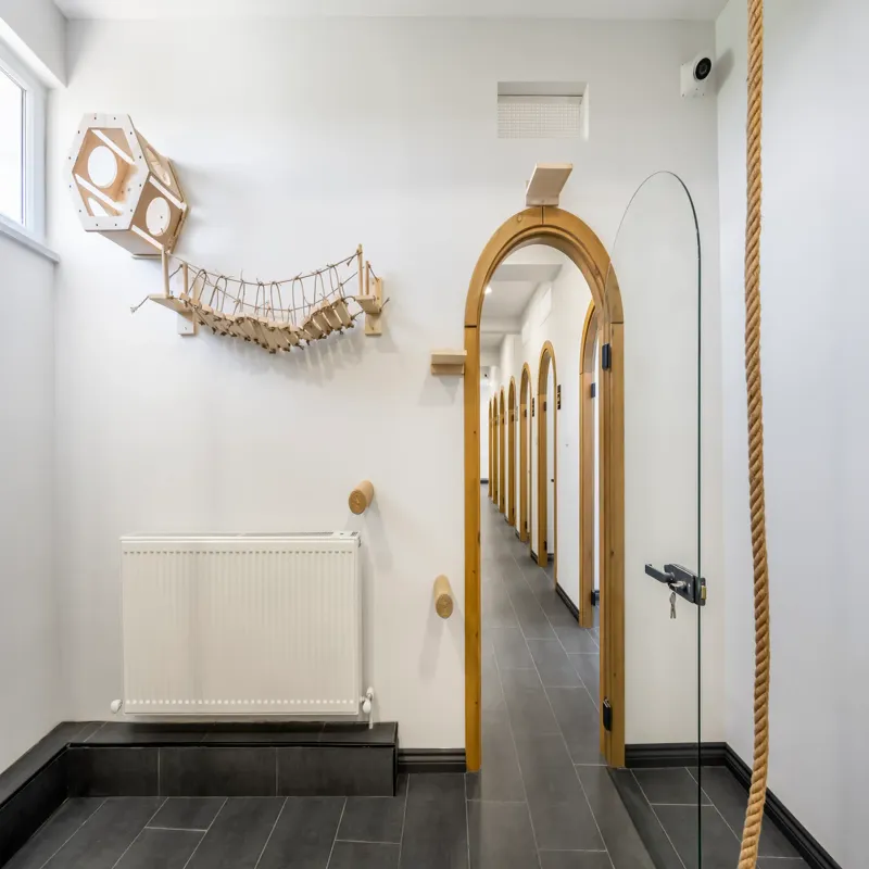 Alaska Mıdıgo Me Otel Gaziantep kedi ve köpek oteli - Galeri görseli 5/17 | PawBooking