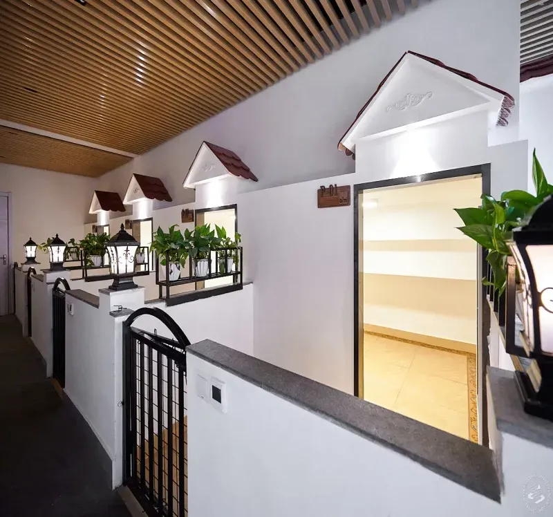 Happy Paws Hotel İstanbul kedi ve köpek oteli - Galeri görseli 4/6 | PawBooking